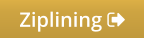 Ziplining 