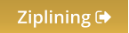 Ziplining 